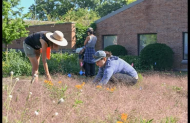 https://news.umflint.edu/2024/08/20/um-flints-tonietto-awarded-1-7m-to-study-the-impact-of-native-plant-lawns/